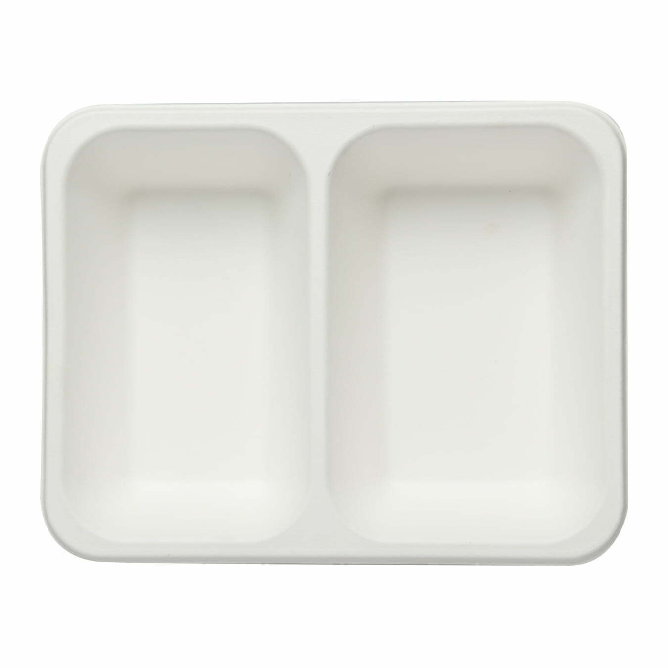 2-Compartment-Tray-1